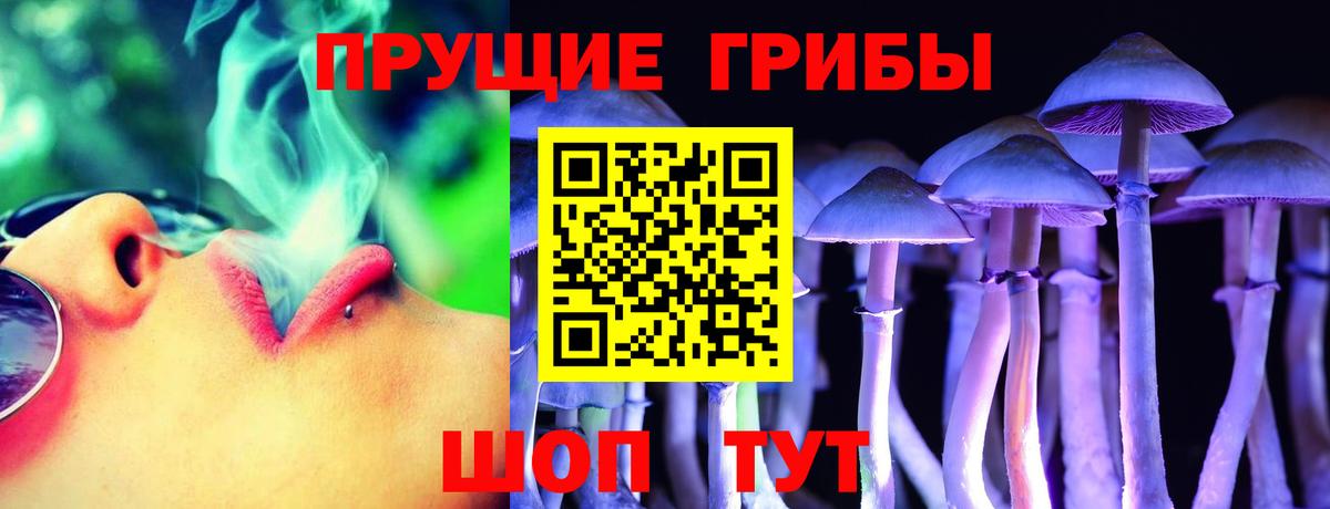 Саров  Псилоцибиновые грибы GOLDEN TEACHER  купить закладку  Вход с VPN  Галлюциногенные грибы прущие грибы 